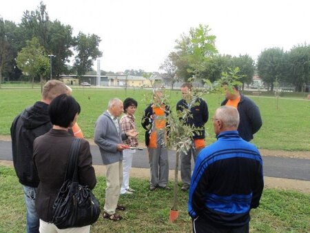 Delavnica - Park in mesto 3